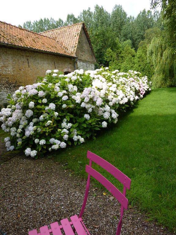 Le Moulin De Tigny Bed and Breakfast Buitenkant foto